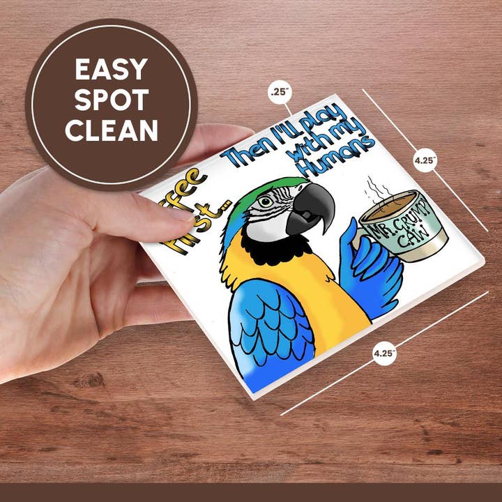 3dRose - Wholesale Coasters - 3dRose, Blue and Gold Macaw coffee first, Coaster6