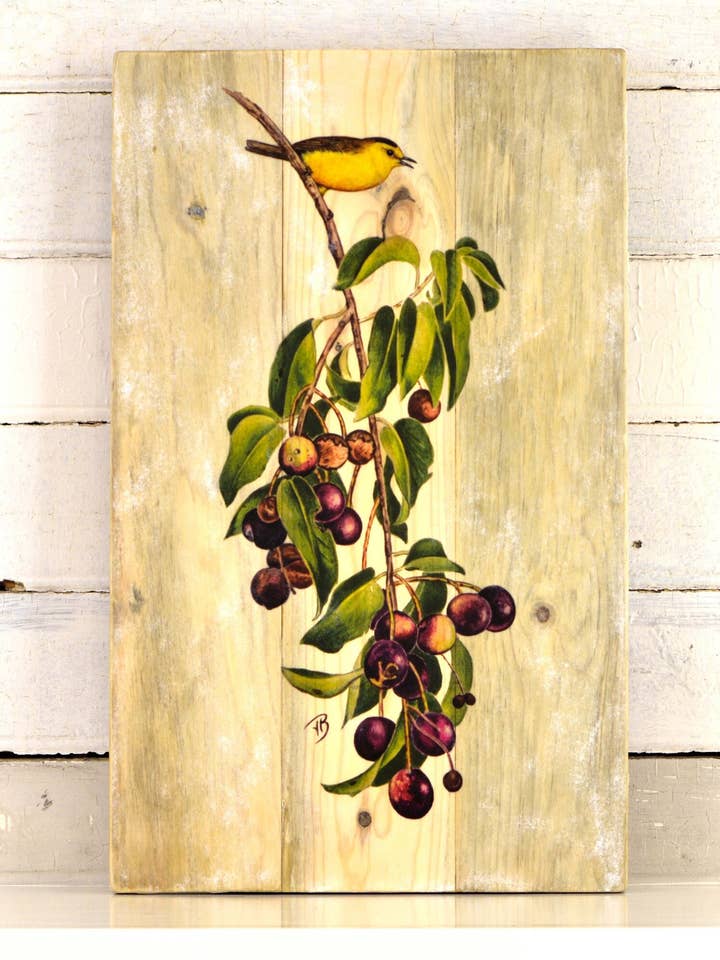 Toutinegra-da-Wilson em madeira reciclada e tratada por atacado de Streetlightbirds