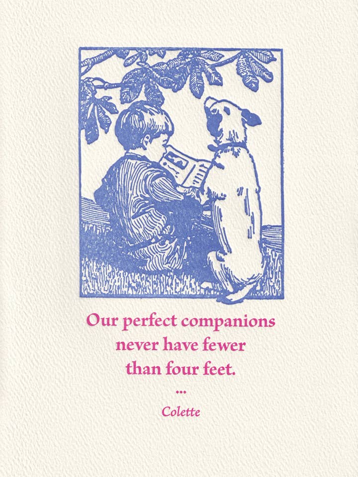 Ragazzo e cane per la vendita all'ingrosso da parte di Saturn Press