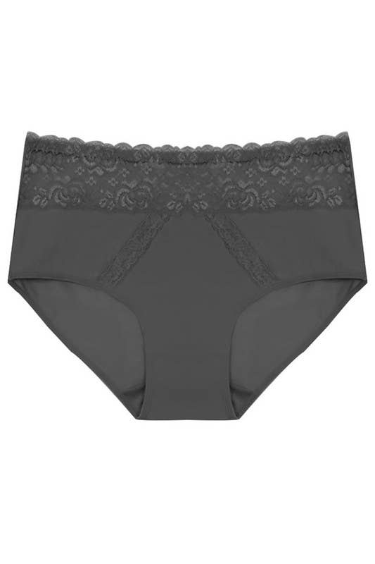 Assorted Color Dual Lace Panels Solid Full Brief-YM-70091-PTY-C04 for wholesale on Faire5