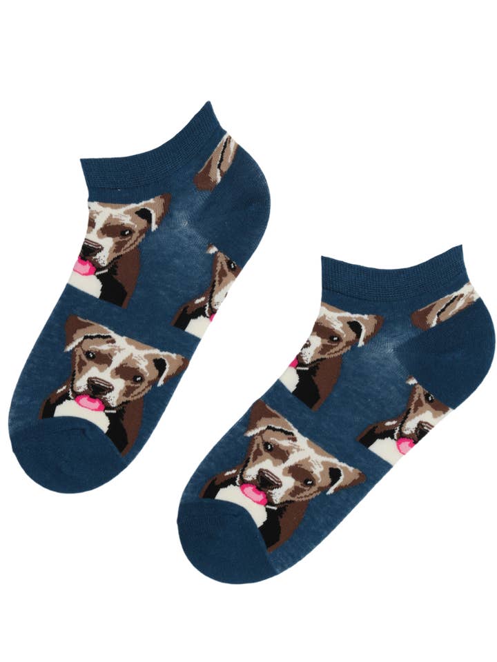 Meias de corte baixo em algodão PITBULL por atacado de Sokisahtel I BestSockDrawer