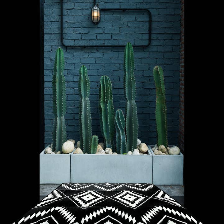 Western Grande - Vente Tapis - 6X9 - TAPIS DE RANCH - TAPIS D'EXTÉRIEUR1