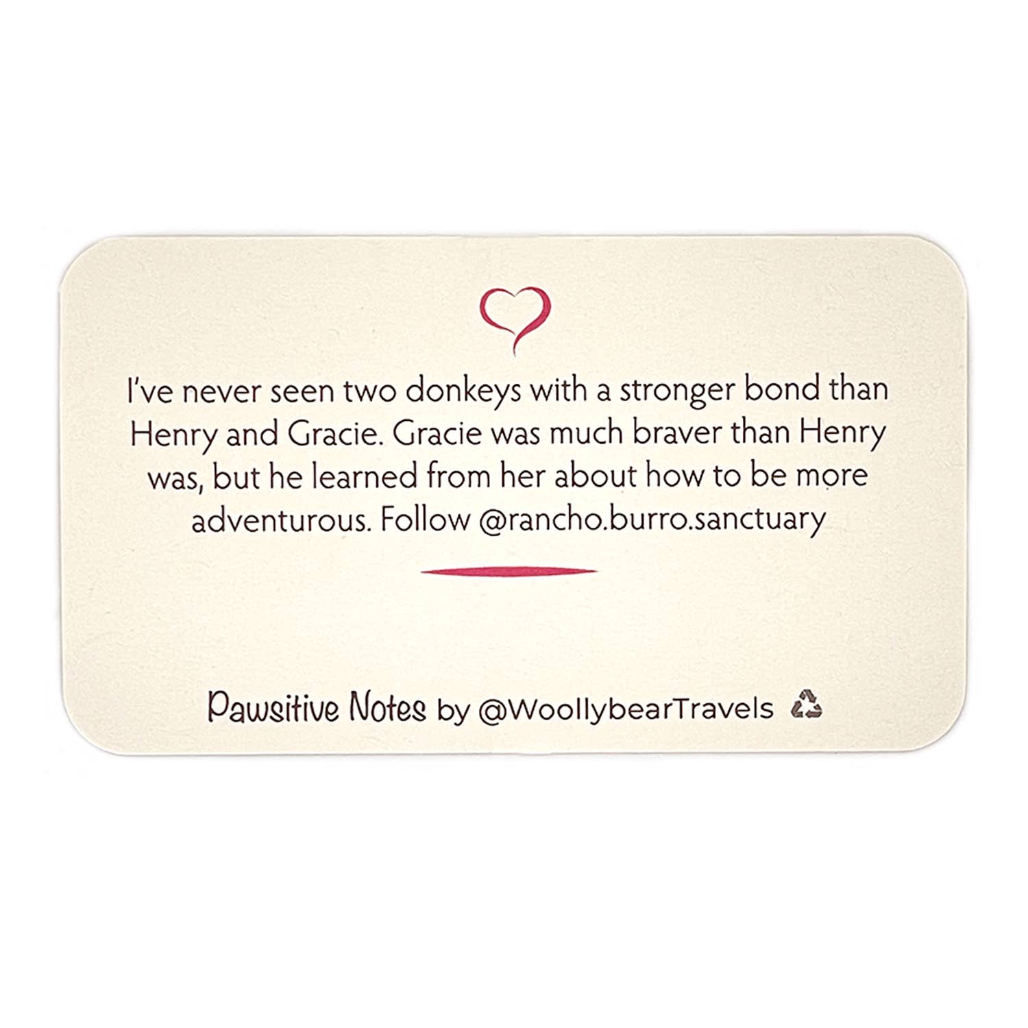 Woollybear Travels - Wholesale Stationery/Notecard Set - Pawsitive Notes- Rescued Donkeys (Lunch Box Notes)3