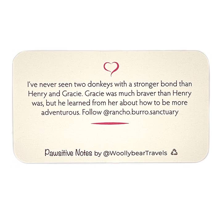 Woollybear Travels - Wholesale Stationery/Notecard Set - Pawsitive Notes- Rescued Donkeys (Lunch Box Notes)3