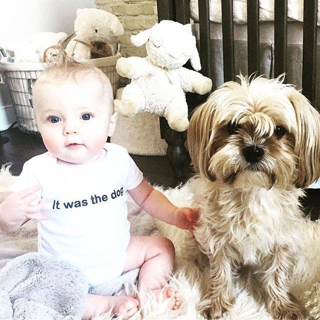 Sara Kety Baby & Kids - Wholesale Bodysuit (Non-Footed) - Baby - It Was the Dog Onesie1