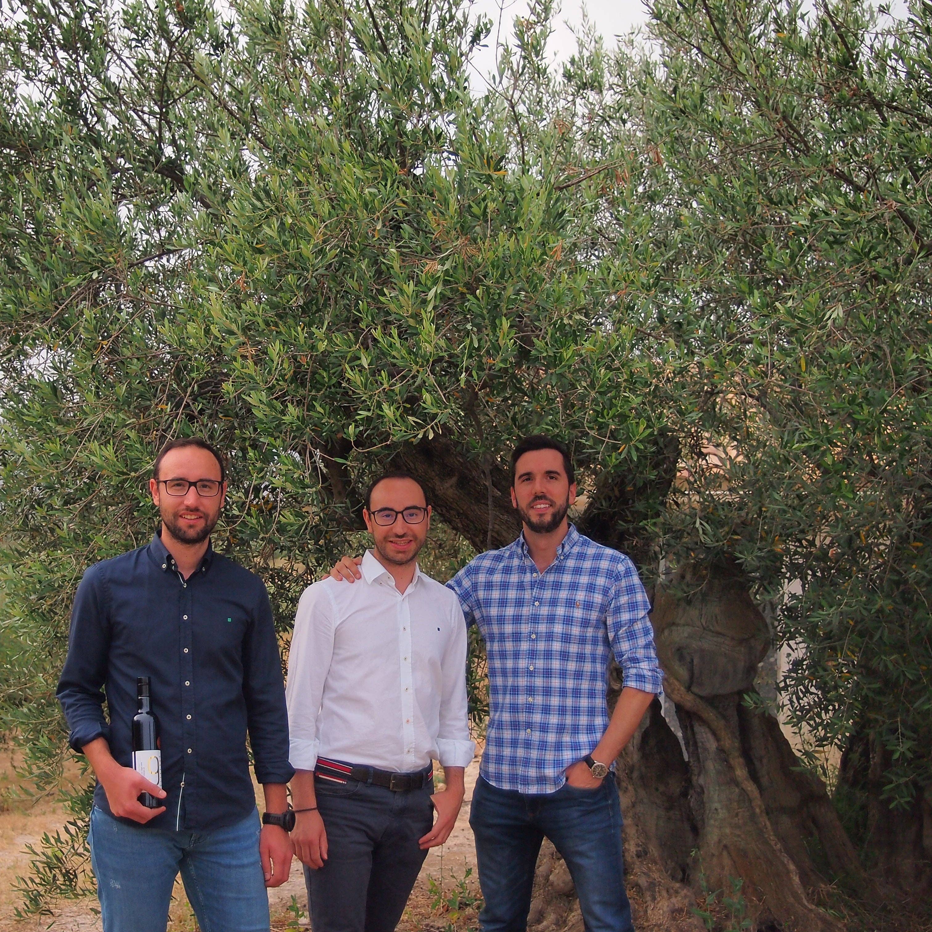 9 Oliveres - Wholesale Olive Oil - 9 OLIVES | PREMIUM | 6 x 250ML6