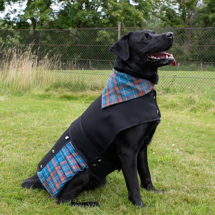 Strathmore Woollen Co - Wholesale Pet Costume - Dog - Doggie Kilt8