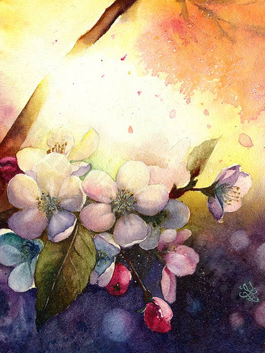 Plum Blossom - Dream and Light Collection Print for wholesale by Dream In Watercolor
