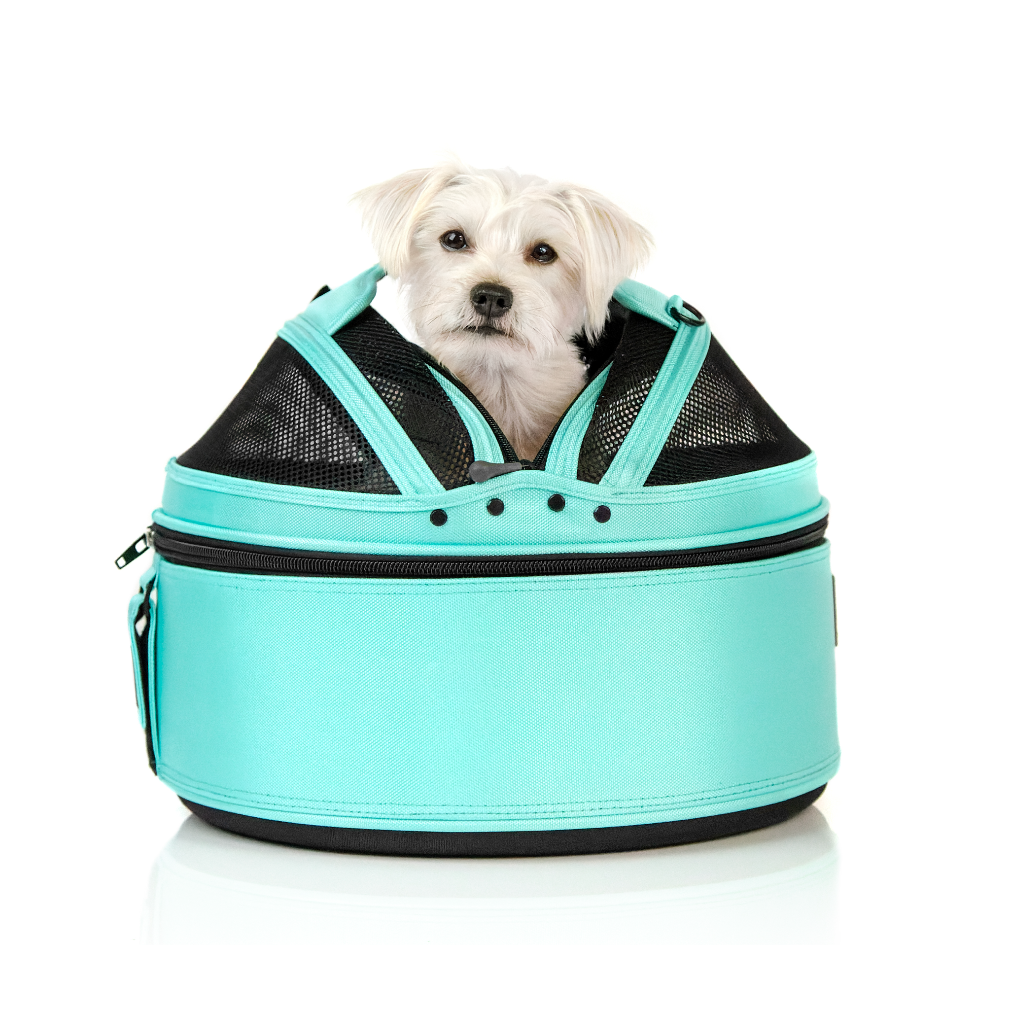 Sleepypod – wholesale Transportbur – Katt och hund – Sleepypod mobil husdjursbädd20