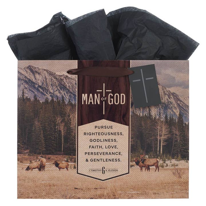 Gift Bag LG Landscape Man of God 1 Tim. 6:11 for wholesale by Christian Art Gifts