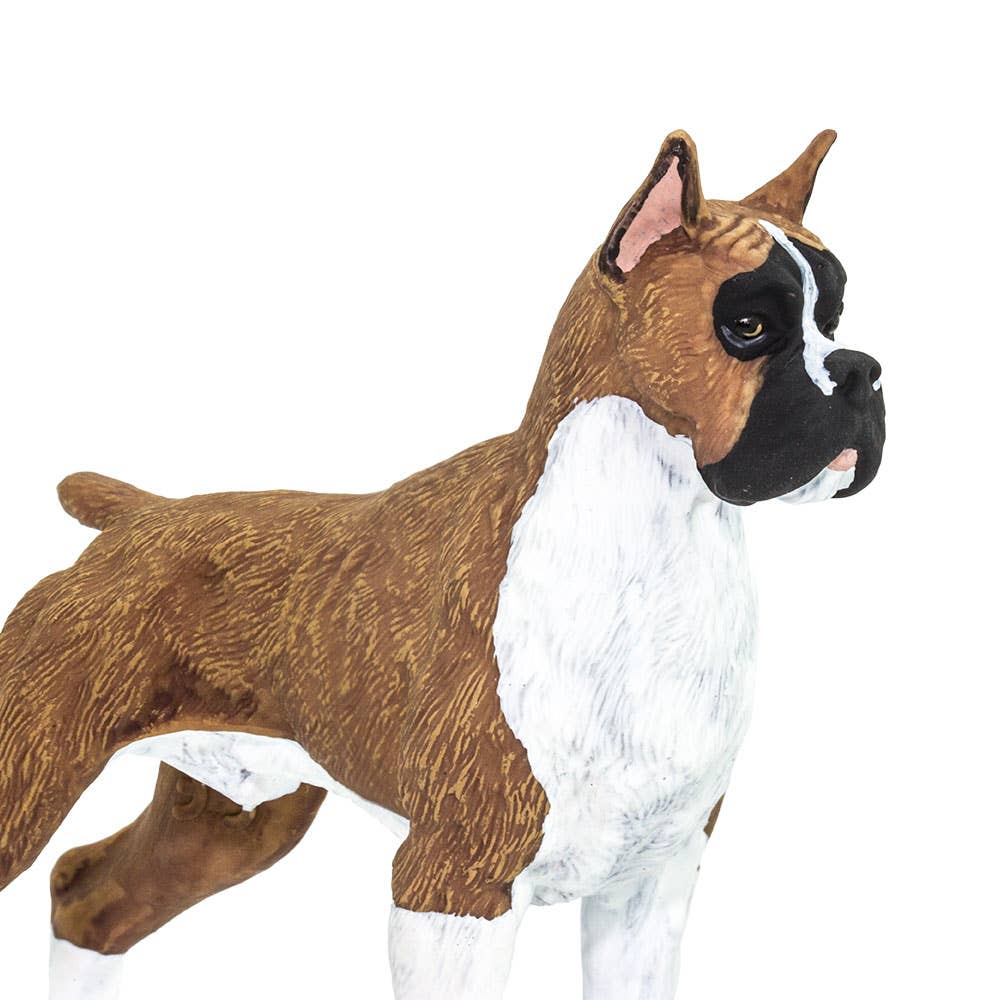 Safari Ltd. - Wholesale Figurine Toy - Kids - Boxer Figurine Toy for Kids5