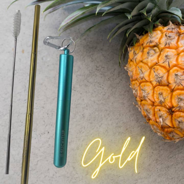 Suck It Up Straws - Wholesale Drinking Straw - Telescopic Metal Straws with Keyring Case & Cleaning Brush