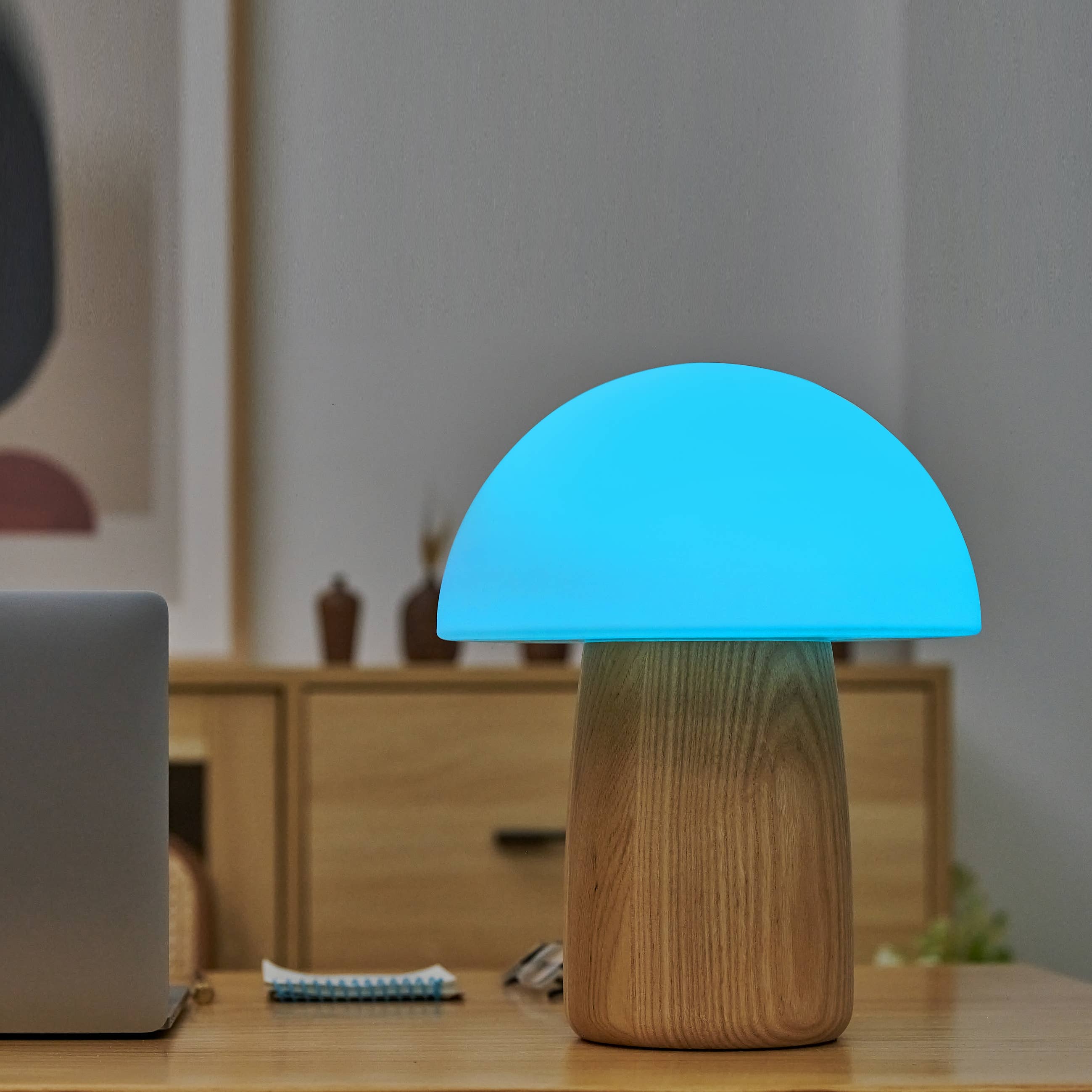 Gingko Design - Wholesale Accent/Desk Lamp - Large Alice Mushroom Lamp8