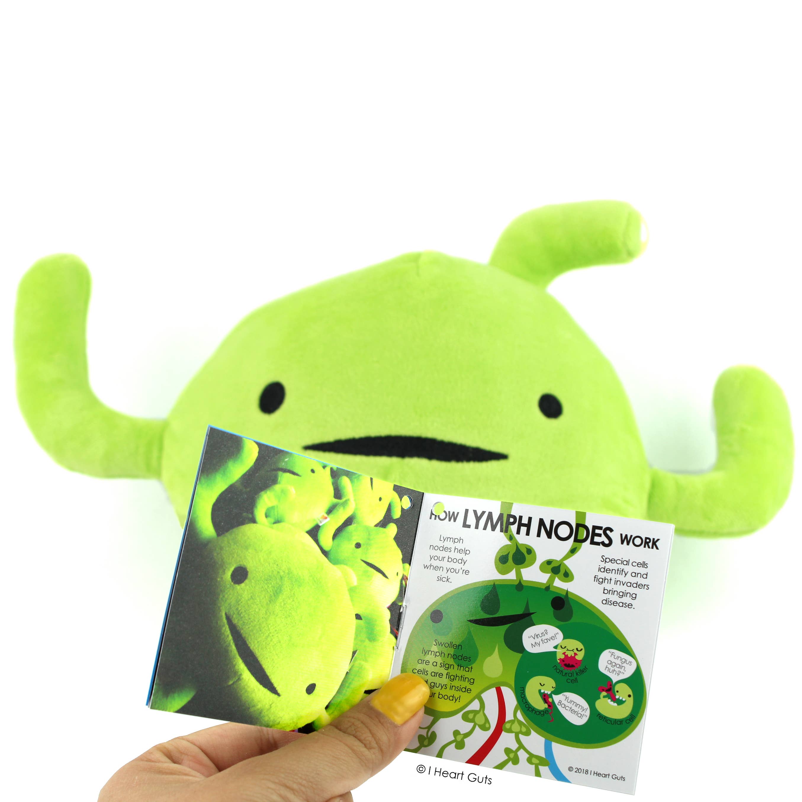 I Heart Guts | Organ Plushies Wholesale – wholesale Stuffed/plush toy – Kids & baby – Lymph Node Plush - Rock Your Antibody6