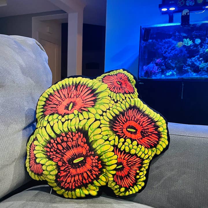 Grand Master Krakatoa Zoanthid Pillow for wholesale by Reef of Clowns