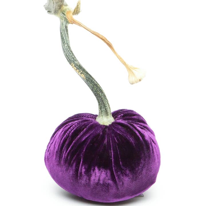 Violet Silk Velvet Pumpkin for wholesale by Hot Skwash