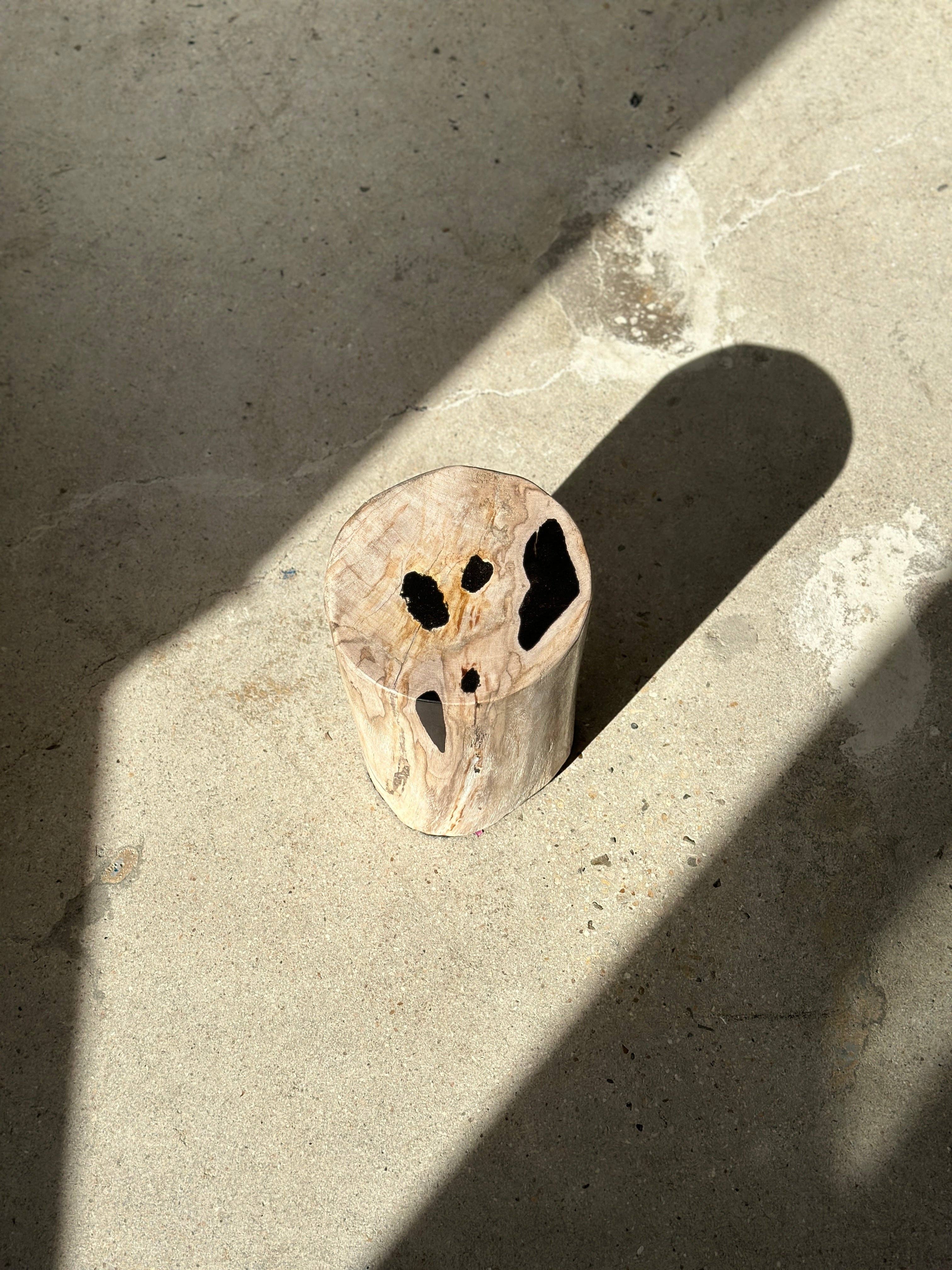 Office Objets - Wholesale Side Table - White petrified wood side table with black spots H:27.5 D:1871