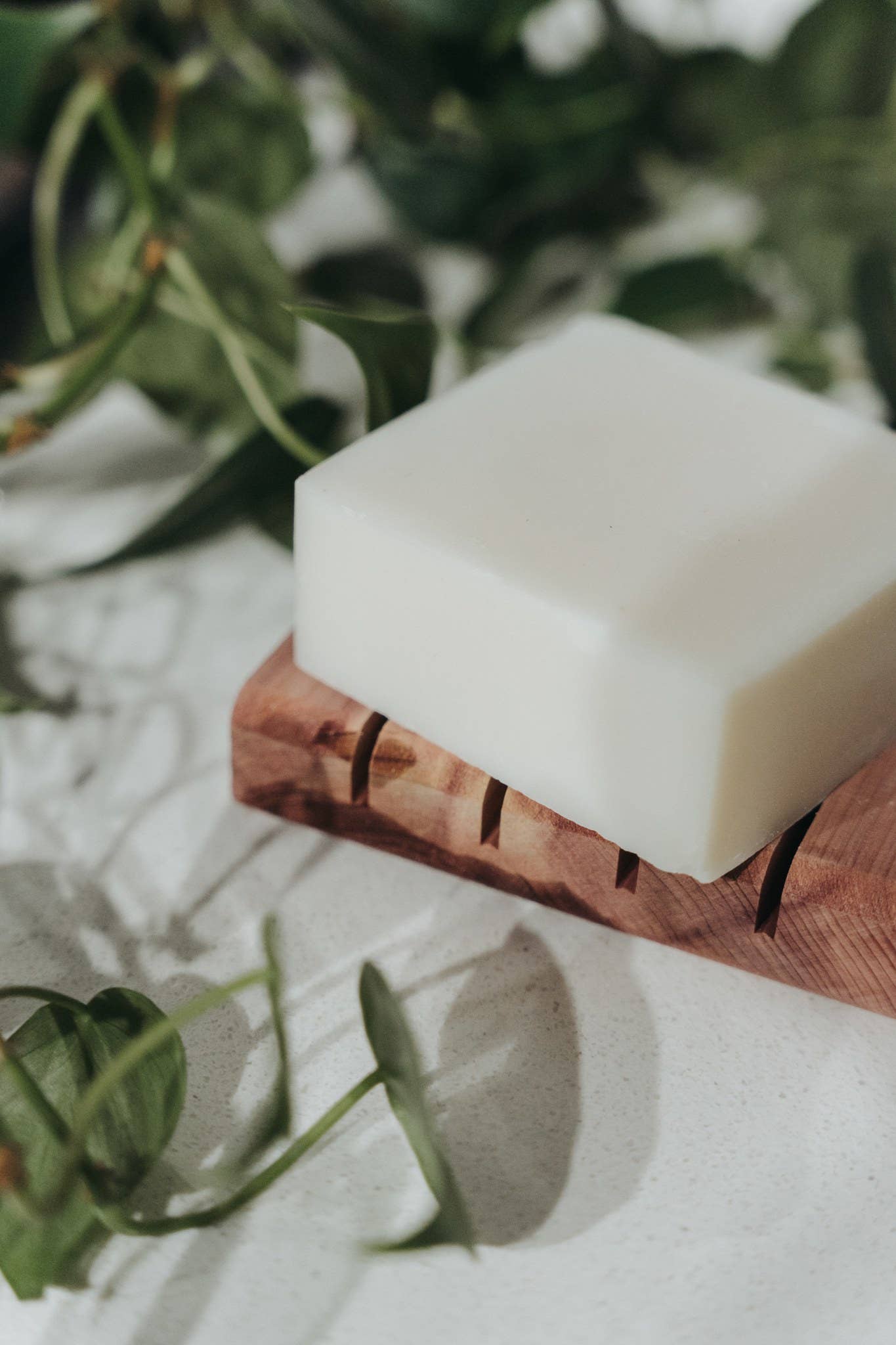 Zero Waste MVMT - Wholesale Dish Soap - Solid Dish Soap Bar | Bergamot + Lime | Vegan & Organic7