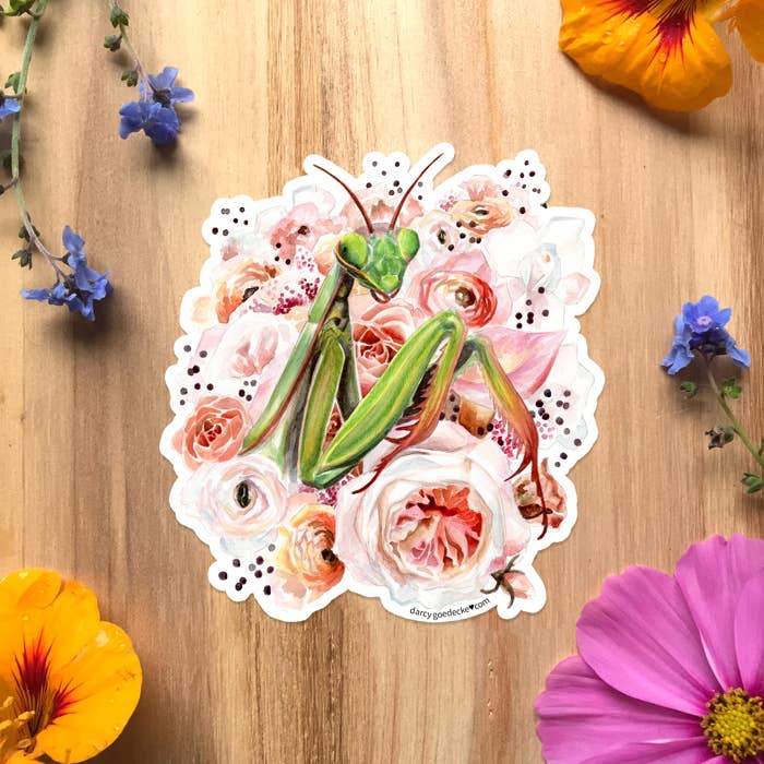 Whimsical Art by Darcy Goedecke - Wholesale Sticker - Mantis | Sticker1