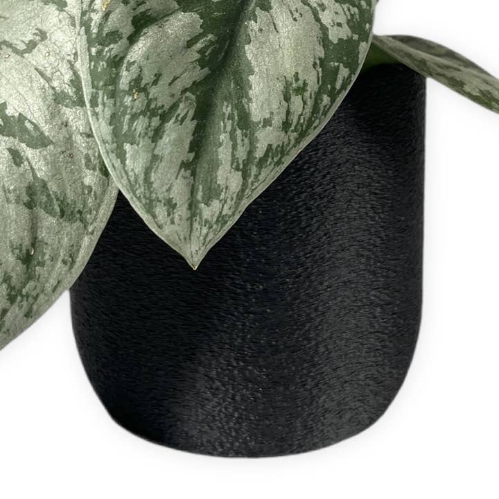 Leafprints.3d - Wholesale Plant Pot - The Moss – 4 Inch Cover Pot (No Drainage)0