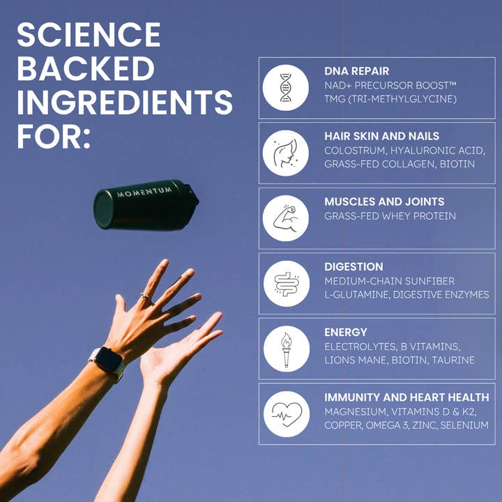 Momentum - Wholesale Protein/Superfood Powder - Longevity Protein Shake, Vanilla4