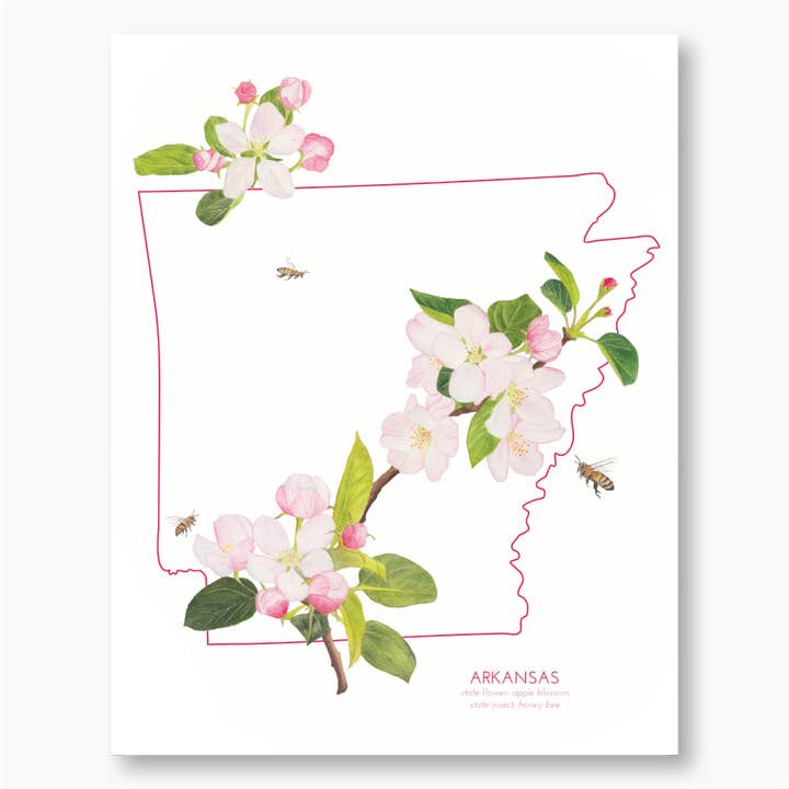 Arkansas Apple Blossom State Flower Print for wholesale by Sophie Tivona Paper