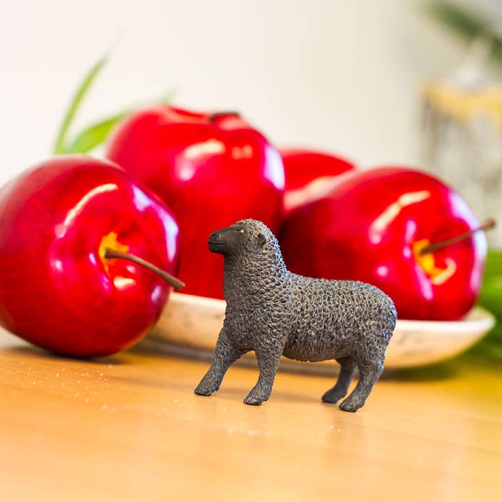 Safari Ltd. - Wholesale Figurine Toy - Kids - Black Sheep Figurine Toy - Kids6