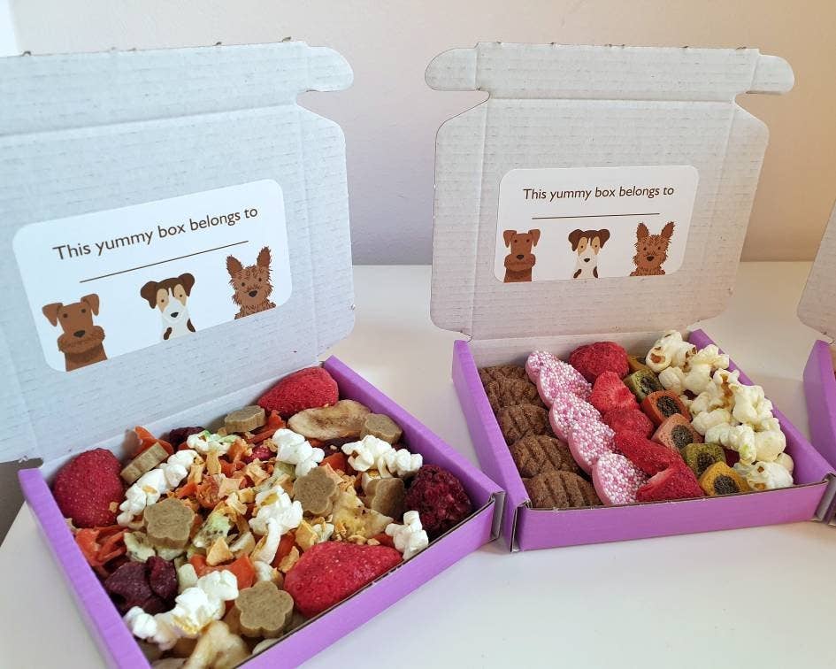 DOGraze - Venta al por mayor Chuches - Perros - Caja de golosinas para perros - CHOCOLATE3