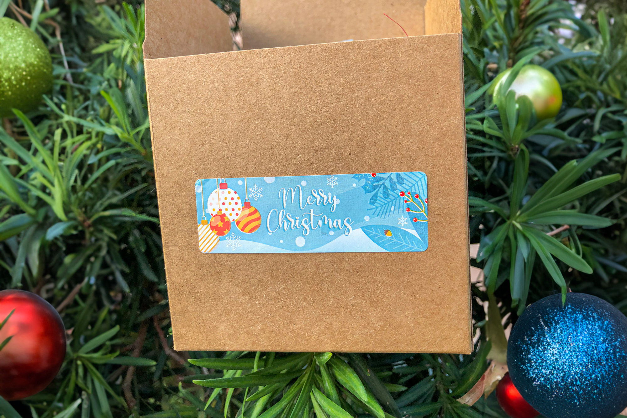 Plantish - Wholesale Gift Tag Label - Frosty Blue Christmas Tag, Sticker | Christmas Card & Label8