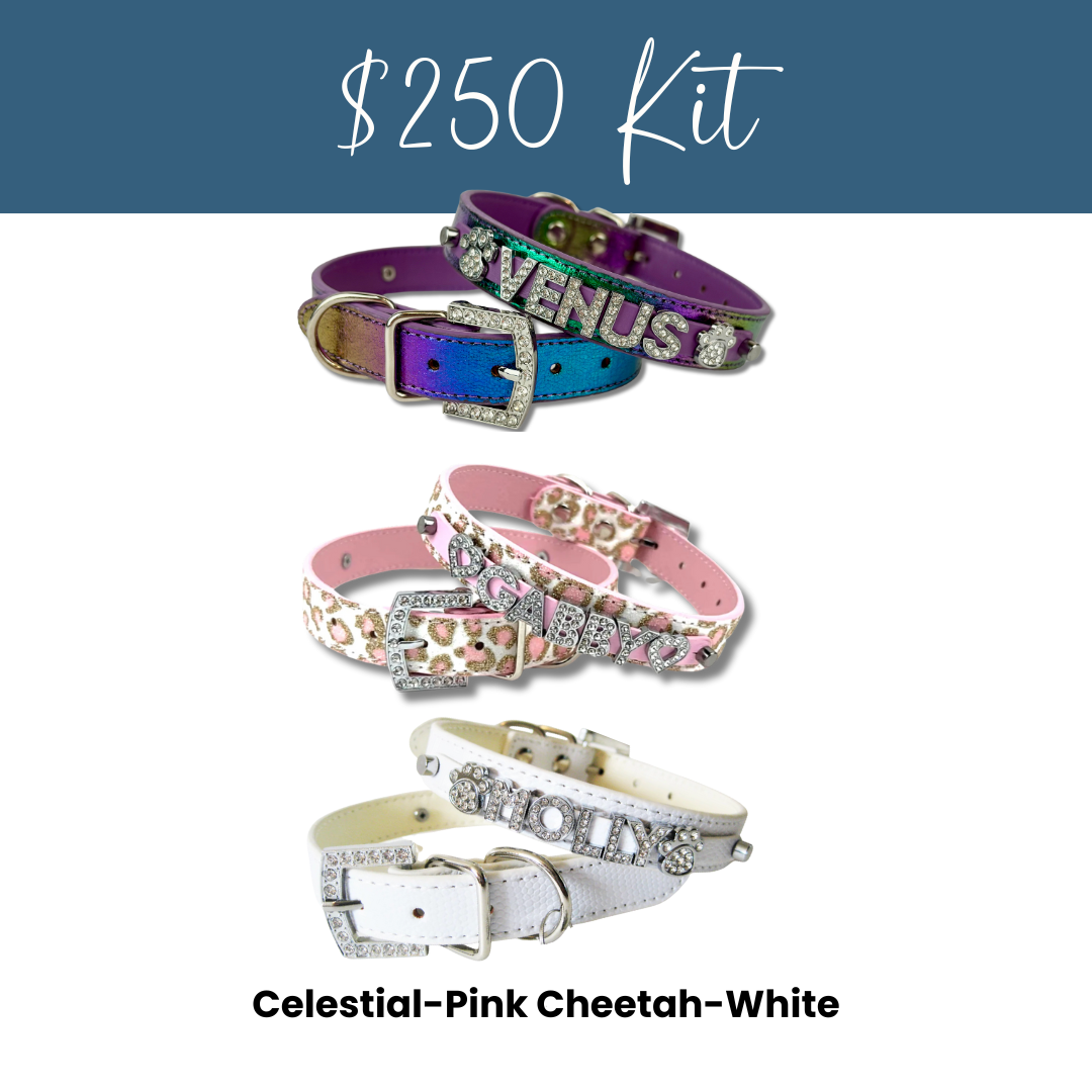 House of FurBaby - Wholesale Pet Collar - Cat/Dog - DIY Pet Collar Bar Kit: Silver Sparkle 280 Pieces $600 Value23