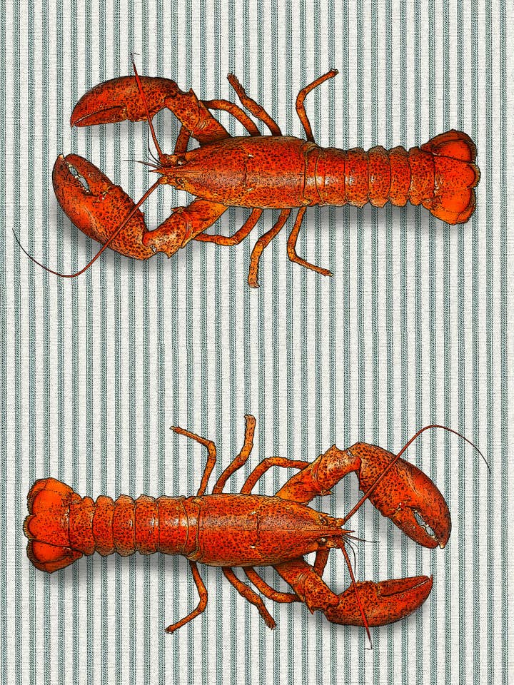 torchon de cuisine en coton 100 % à rayures (homard) 18 x 24 pouces pour la vente par Alphie and Ollie