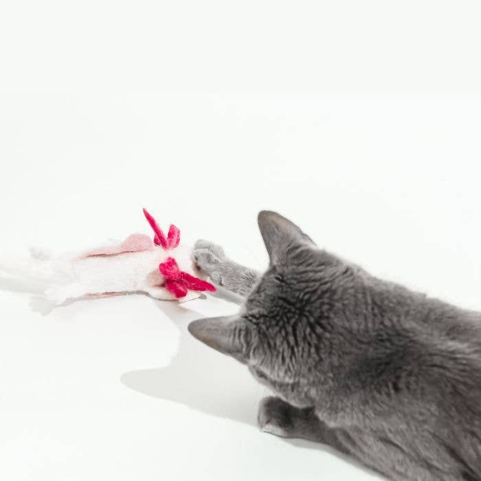 Cat in the Box LLC - Wholesale Pet Toy - Cat - Wool Axolotl Cat Toy with a 5-Foot Long Tether3