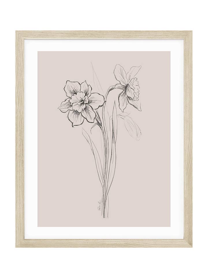 Daffodil, March Birth Flower for wholesale by Love by Phoebe