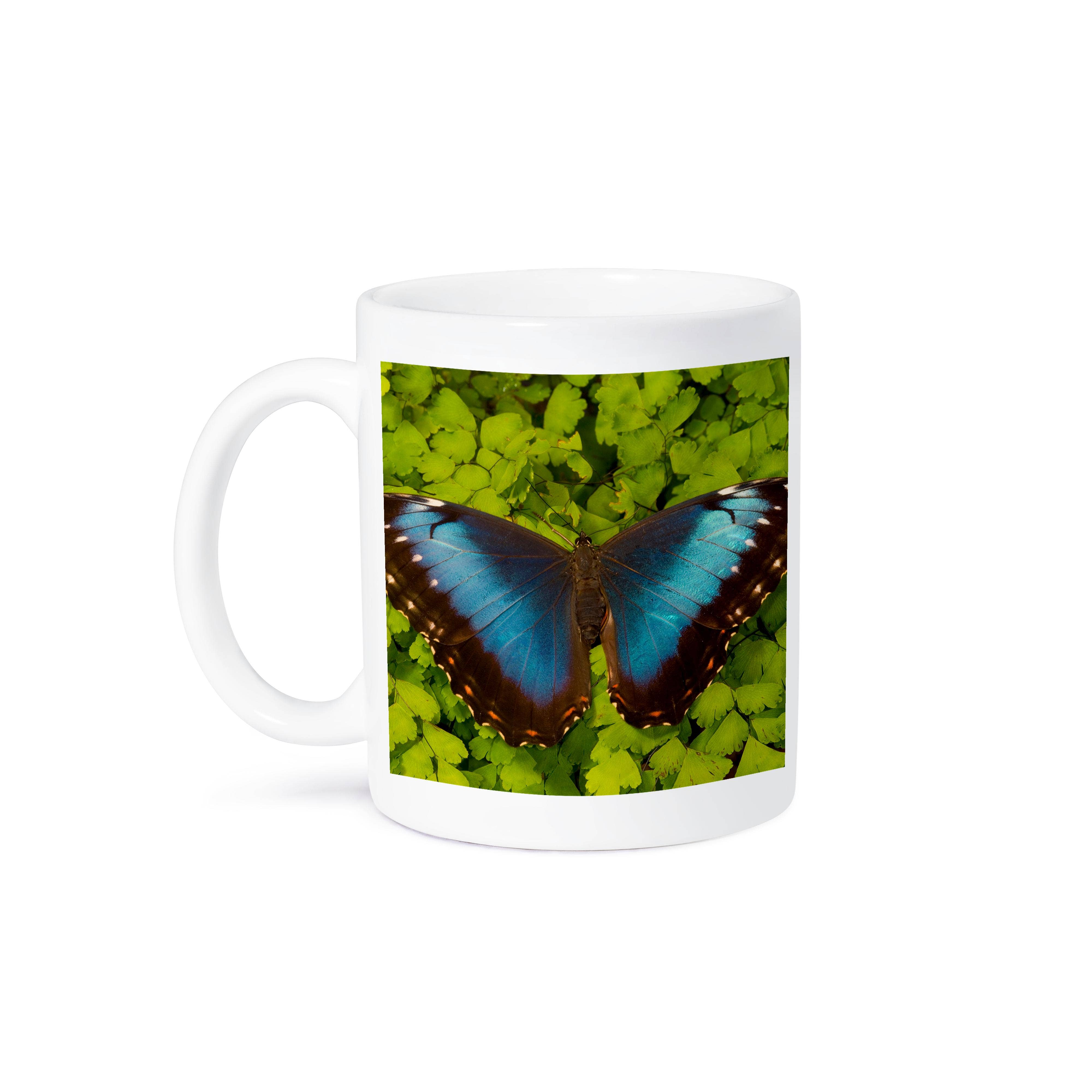 3dRose - Wholesale Coffee Mug - 3dRose, Tropical Butterfly the Blue Morpho, Morpho granadensis, on fern, Mug8