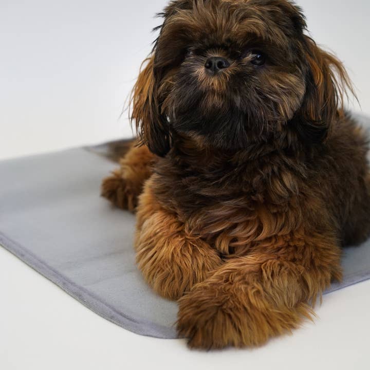 The Green Pet Shop - Wholesale Pet mat – Dog - Thera-Pawz Warming Pad7