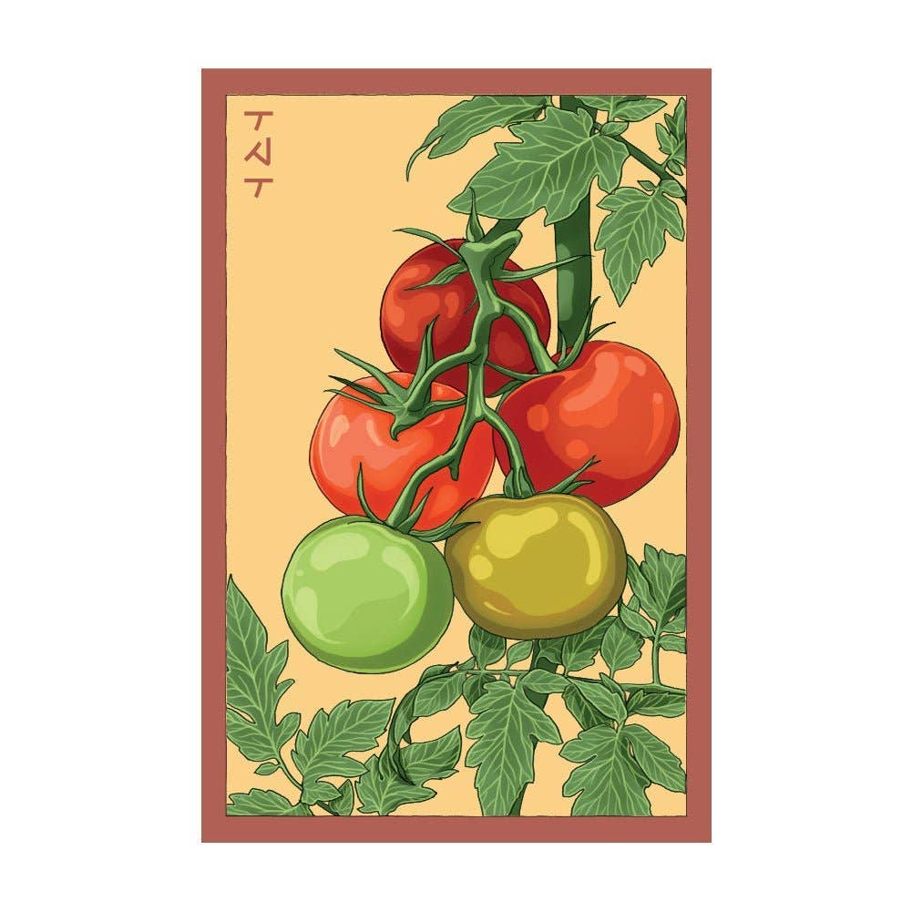 Chive Canada - Wholesale Plant Seeds - Shido Seeds Beefsteak Tomato Vegetable Herb Garden Packet0