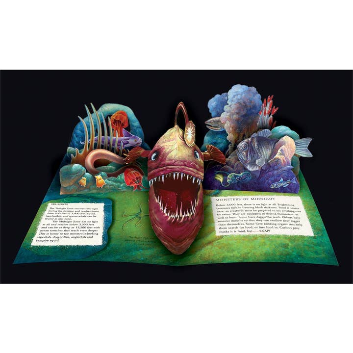 Simon & Schuster - Wholesale Book - Kids - Wild Oceans by Lucio Santoro