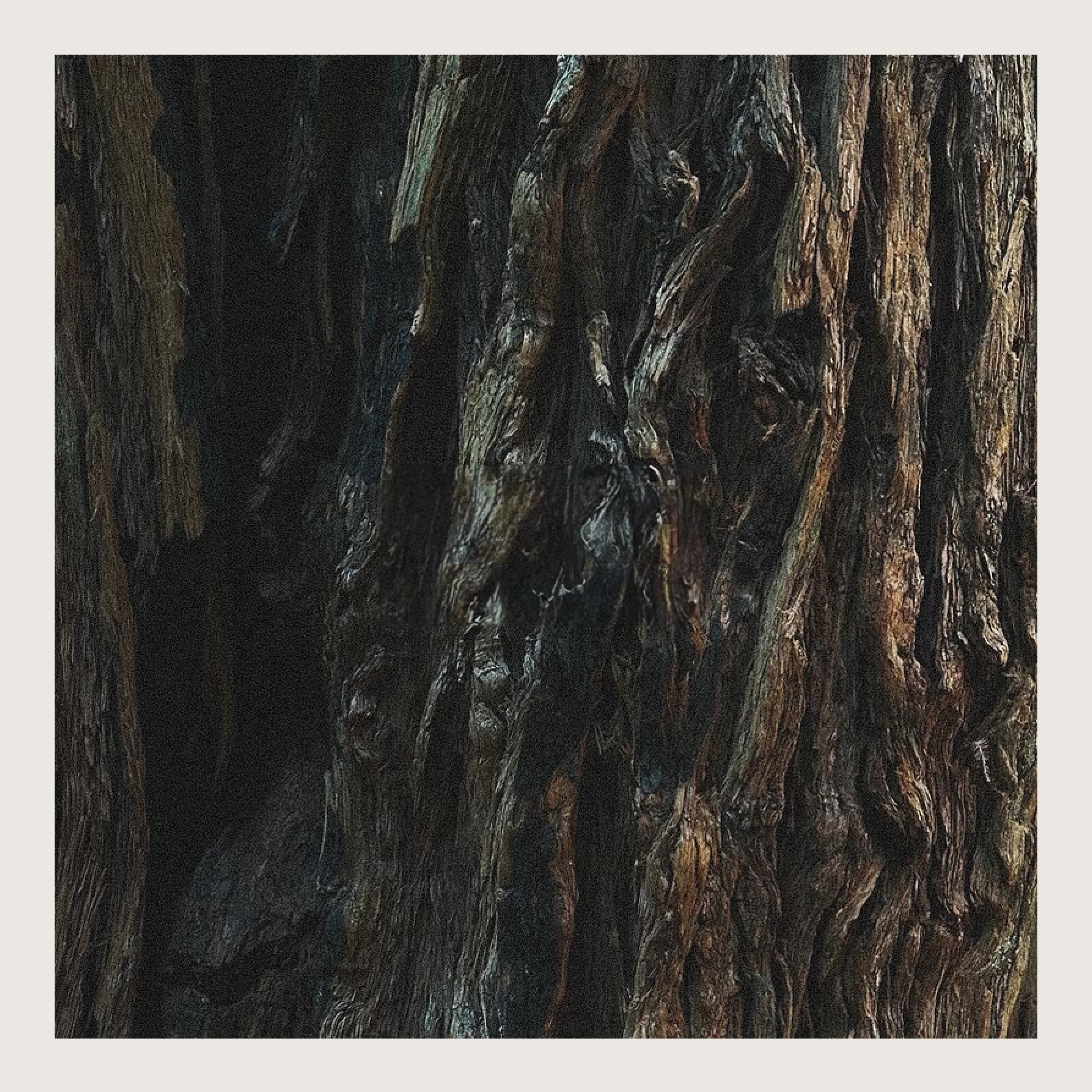 Studio Tarea - Wholesale Jar/Filled Candle - Muir – Fresh, Woodsy Candle Inspired by Muir Woods4