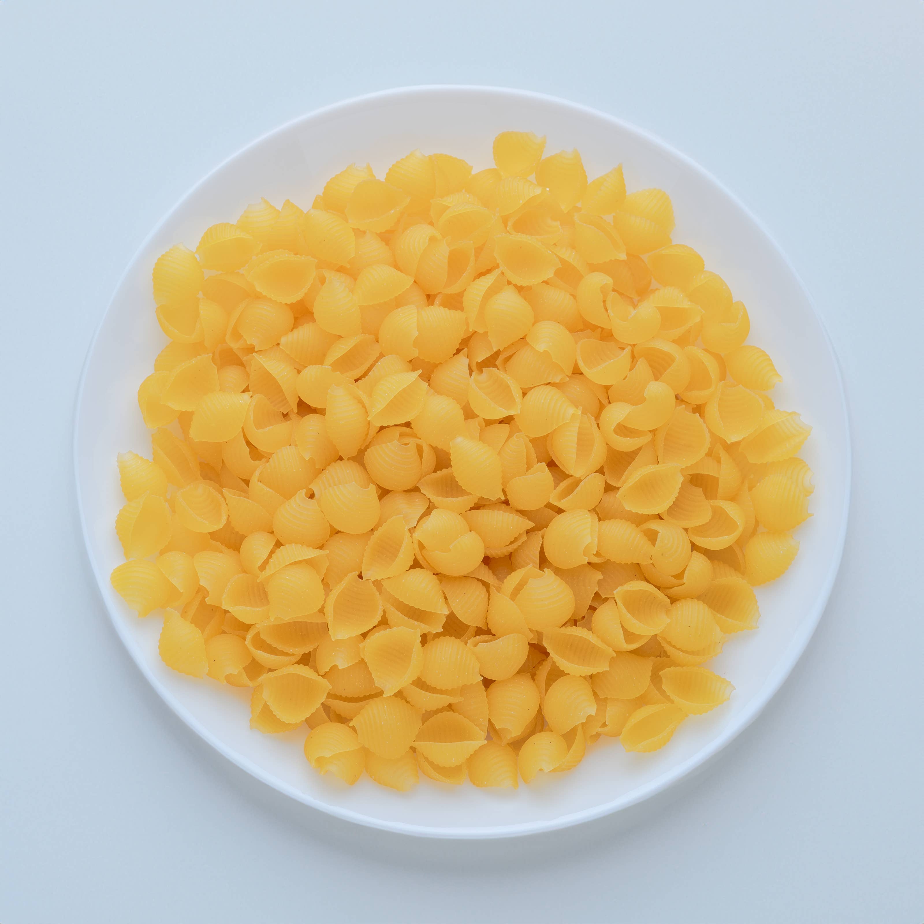 Pasta Gustosa Bio Gluten Free - Wholesale Pasta - CONCHIGLIE Corn + Rice ORGANIC 340g2