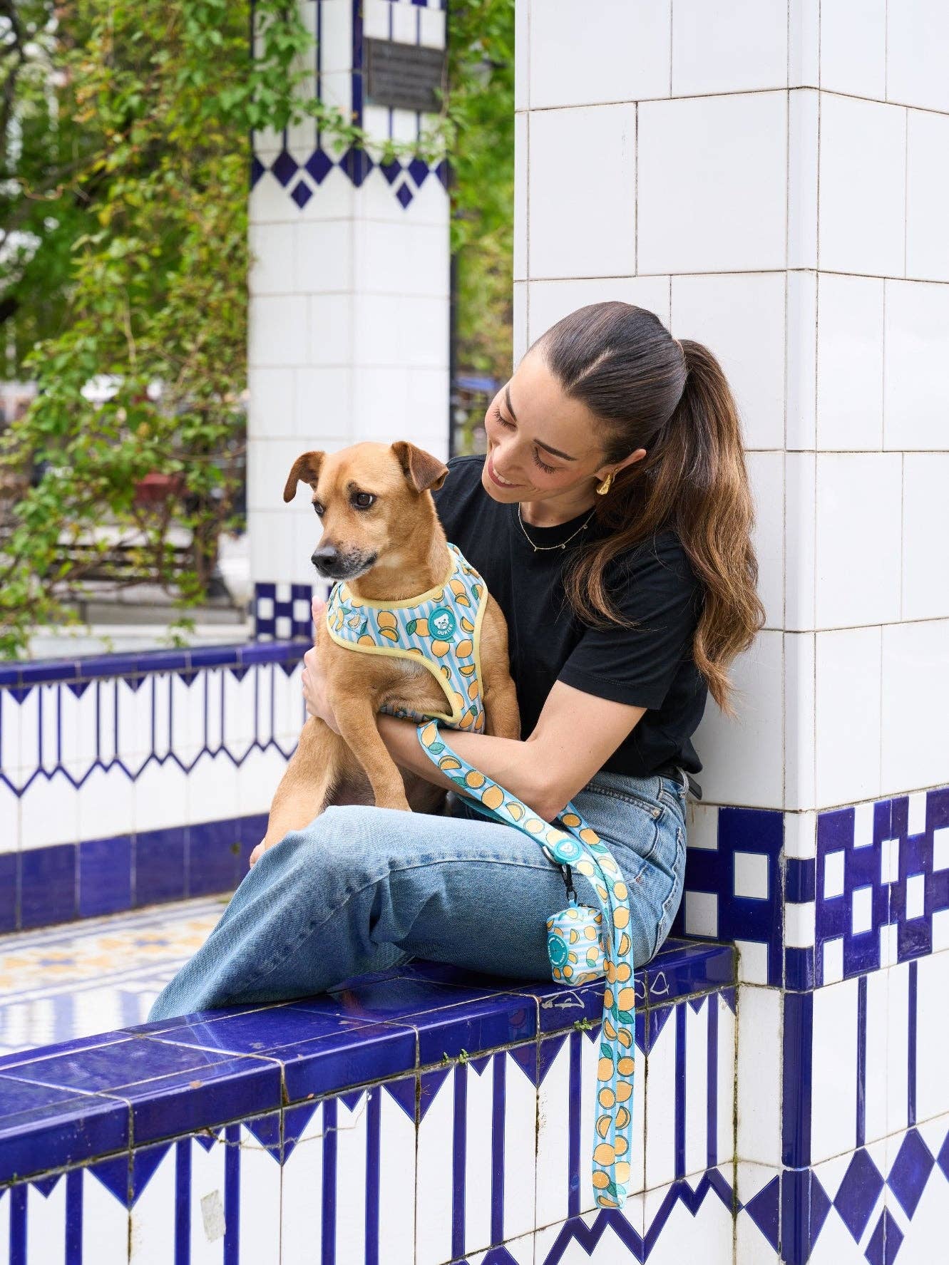 Dukier - Wholesale Pet Harness - Dog - ADJUSTABLE DOG HARNESS LEMONS6