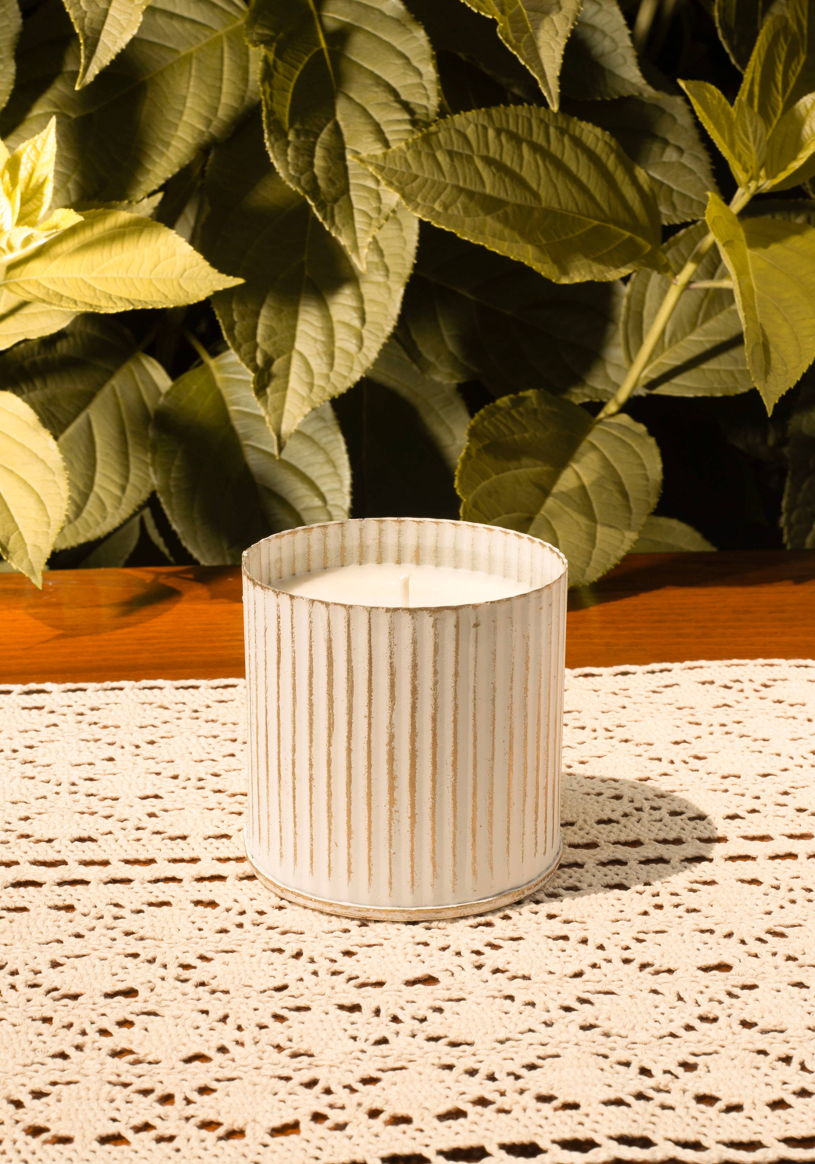 Sweet Wick Candle Company - Vendita all'ingrosso Candela in vasetto - Candela bianca lavata a coste 2