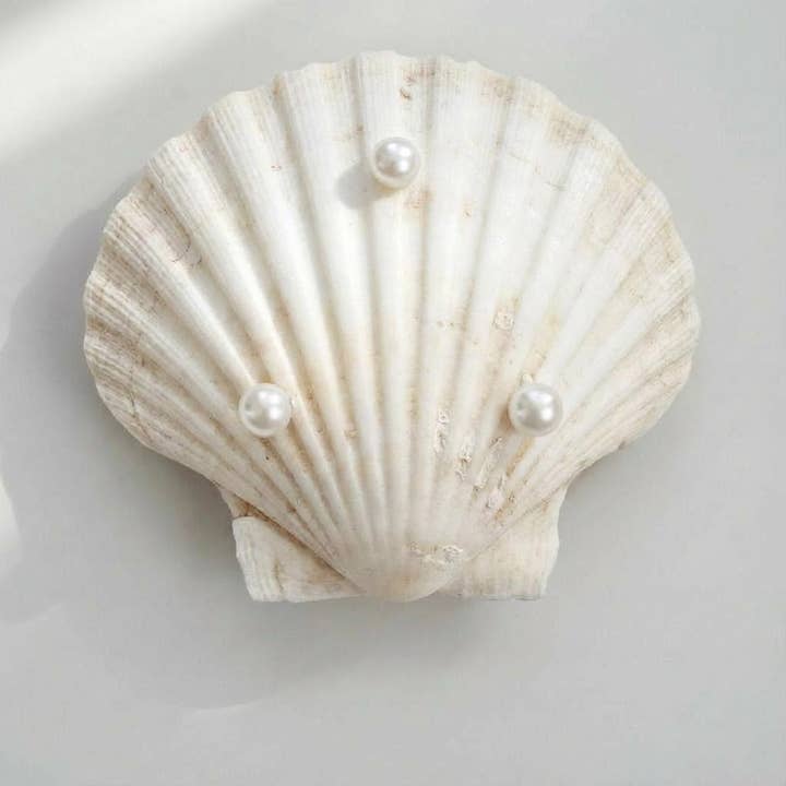 Shell Yeah By Jaks LLC – Engroshandel Smykkeskål – Perle Stjerne Kammusling Skål Smykkeskål – Guldkant2