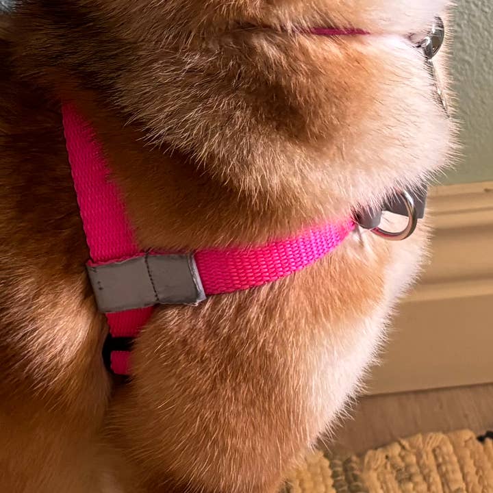 Walk Your Dog with Love Sportso Doggo No Pull Harness for wholesale by Cotswold Pet Supplies