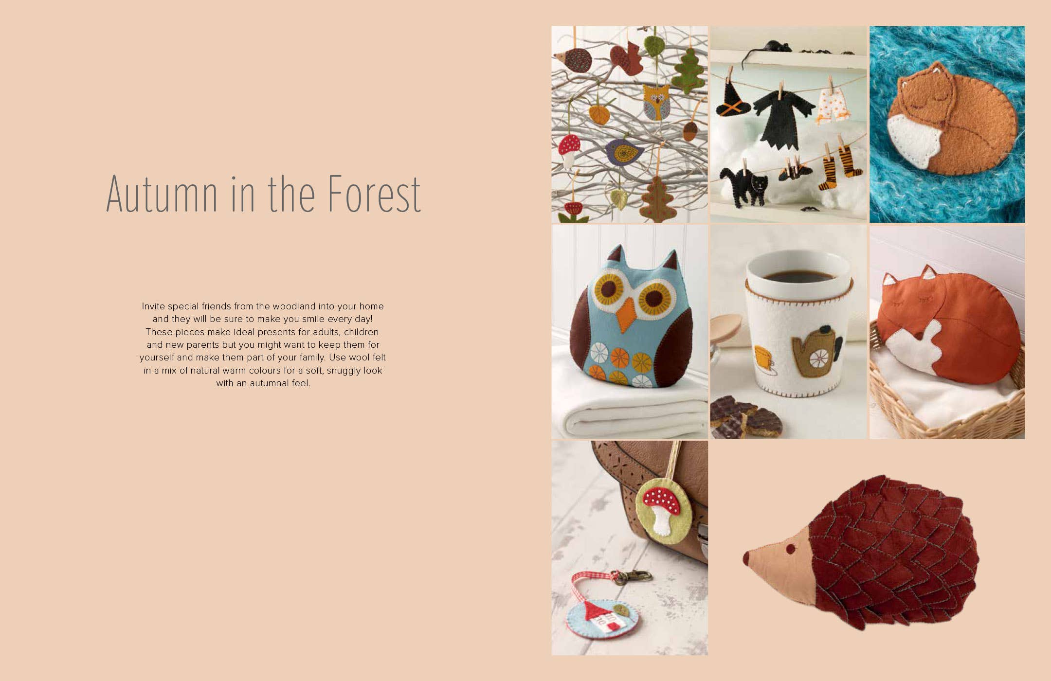 Penguin Random House LLC - Wholesale Crafts, Hobbies & DIY - A Year of Felt Decorations10