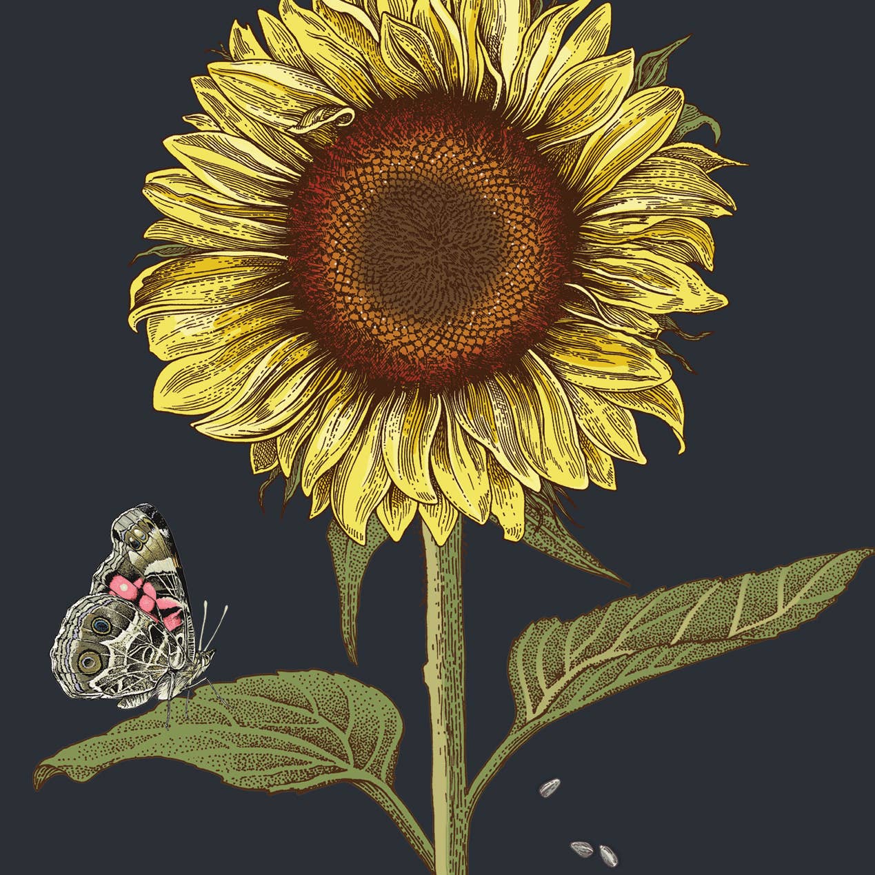 Brook Isle - Vente Carte de vœux classique - Carte-note unique spécimen de tournesol 5x71