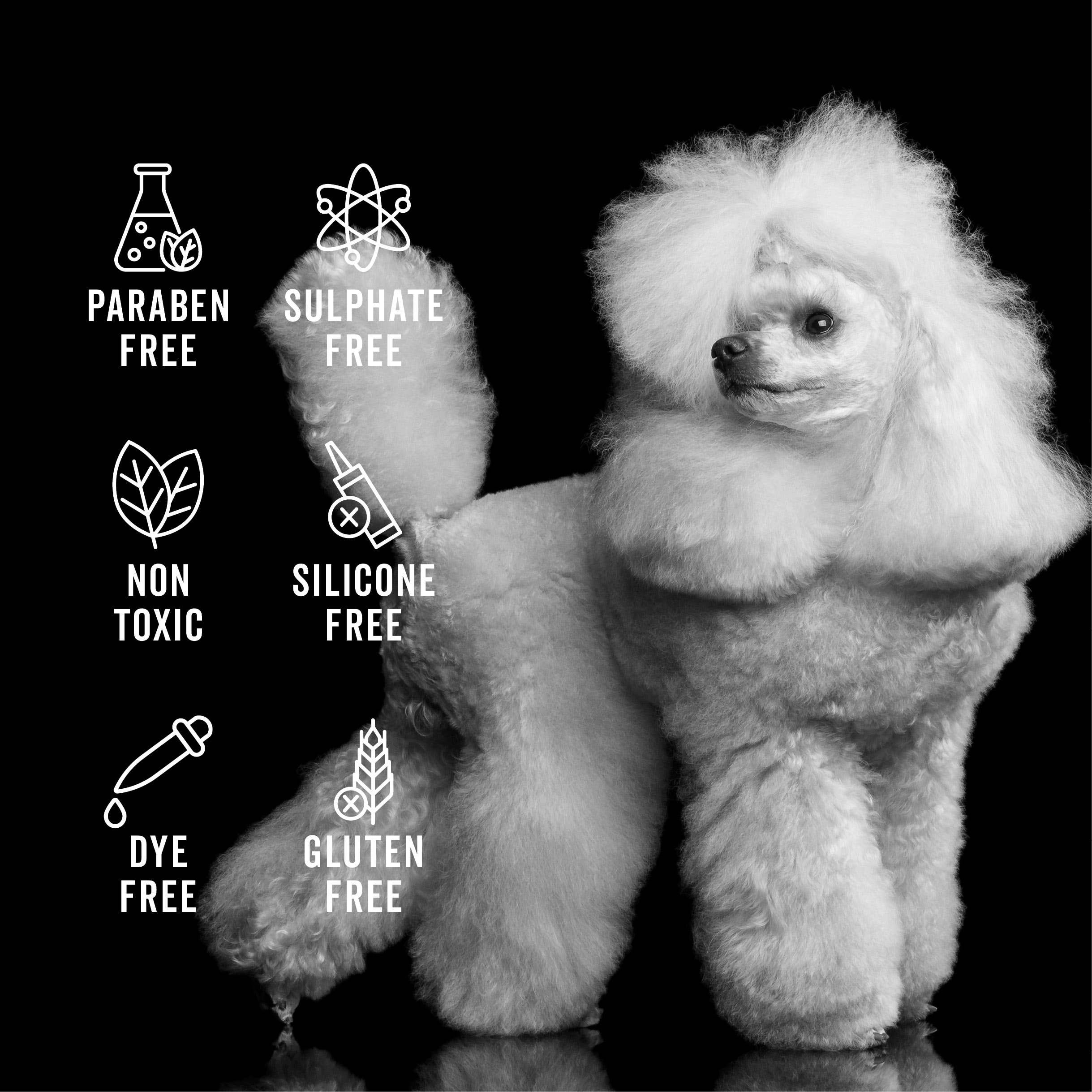 PRIDE+GROOM – Großhandel Haustiershampoo – Hund – DIE GALLONE, DIE NICHT FÜR DEN PROFESSIONELLEN GEBRAUCH GEEIGNET IST2