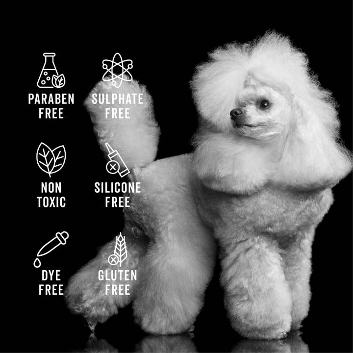 PRIDE+GROOM – Großhandel Haustiershampoo – Hund – DIE GALLONE, DIE NICHT FÜR DEN PROFESSIONELLEN GEBRAUCH GEEIGNET IST2