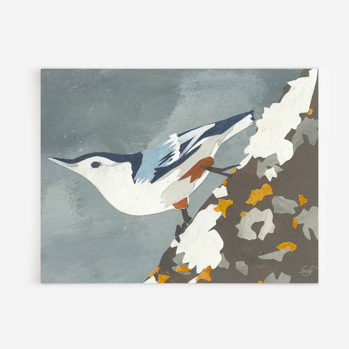 Nuthatch Bird Note Card for wholesale by Mandy Warhol Fine Art