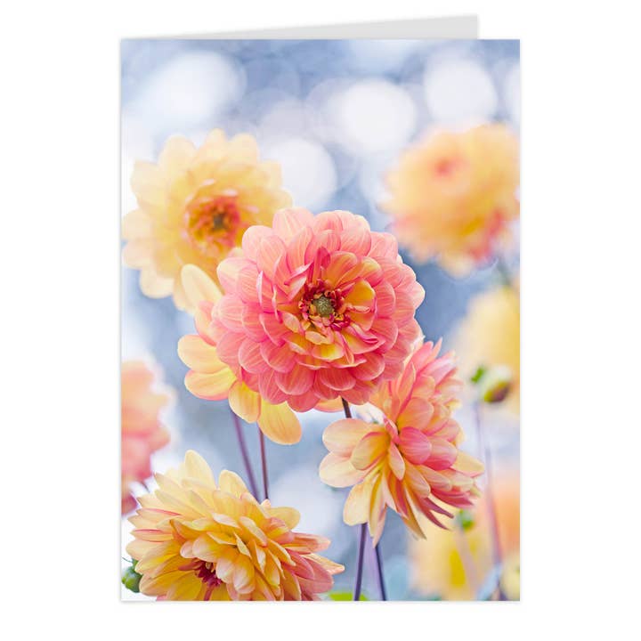 Tarjeta plegable midi "Dahlia Key West" para venta al por mayor de paruspaper. nutzfeine papeterie