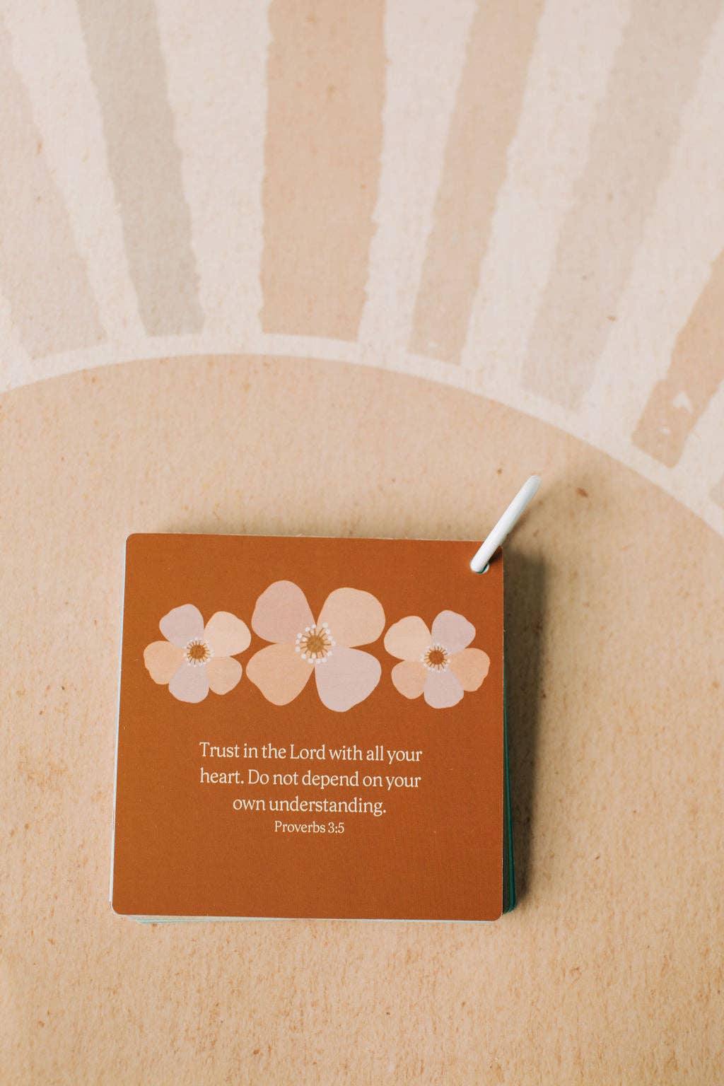 Tiny Theologians - Wholesale Learning Cards - Kids & Baby - My First Bible Verses21